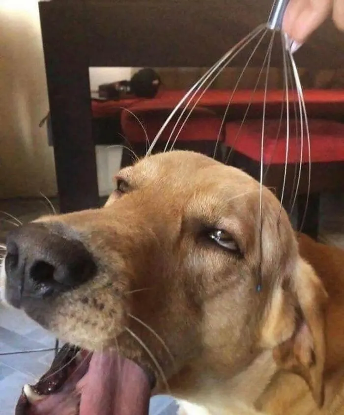 IG Account Posts Pics So Adorable, It’s Basically The Opposite Of Doom Scrolling (30 Pics)