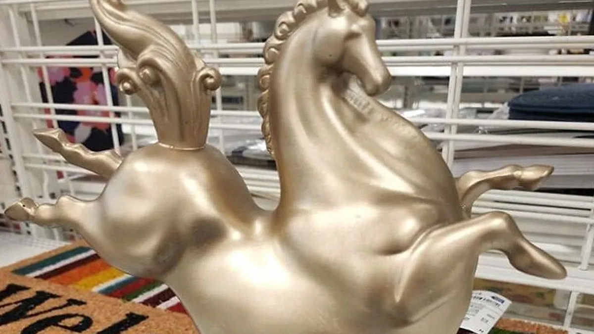 50 Times People Found The Funniest And Weirdest Things While Shopping Secondhand