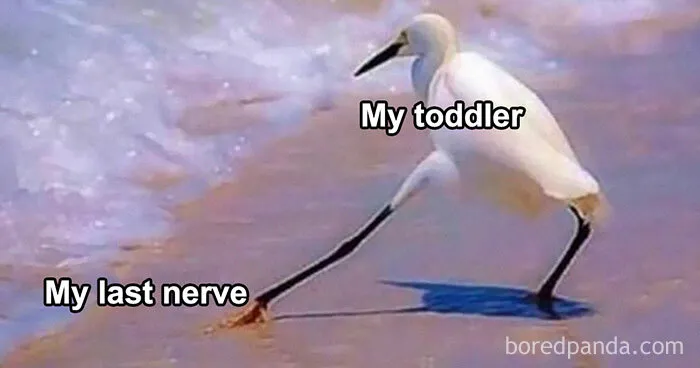 35 Funny Memes That Show Just How Chaotic Parenting Is, Courtesy Of This Popular Facebook Page