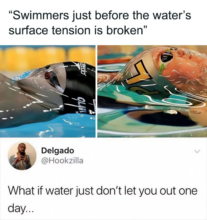 50 Epic Comments That Were Better Than The Post (New Pics)