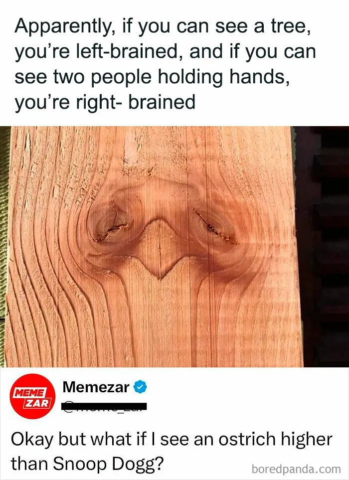 50 Epic Comments That Were Better Than The Post (New Pics)