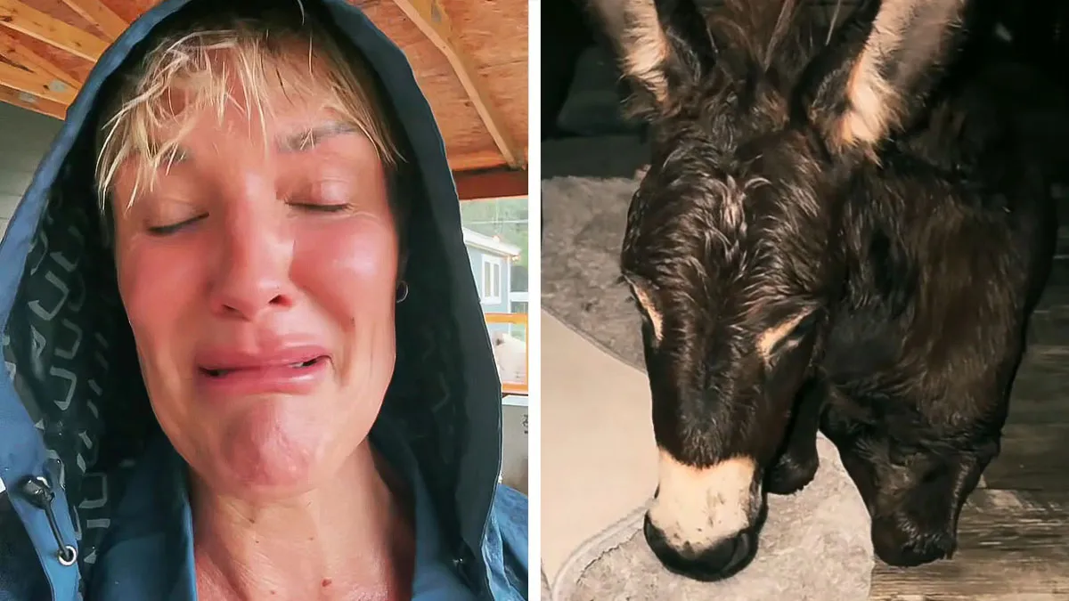 Viral Couple Who Didn’t Evacuate Amid Hurricane Milton Brings Donkey Into Their Home