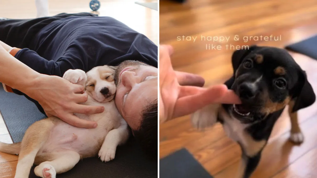 Yoga With Homeless Puppies Adds Twist To Traditional “Puppy Yoga” Trend To Promote Adoptions