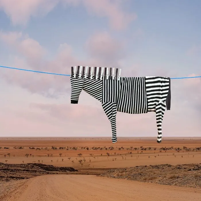 This Artist Created 21 Playful Animals From Laundry And Captured Them In Picturesque Landscapes