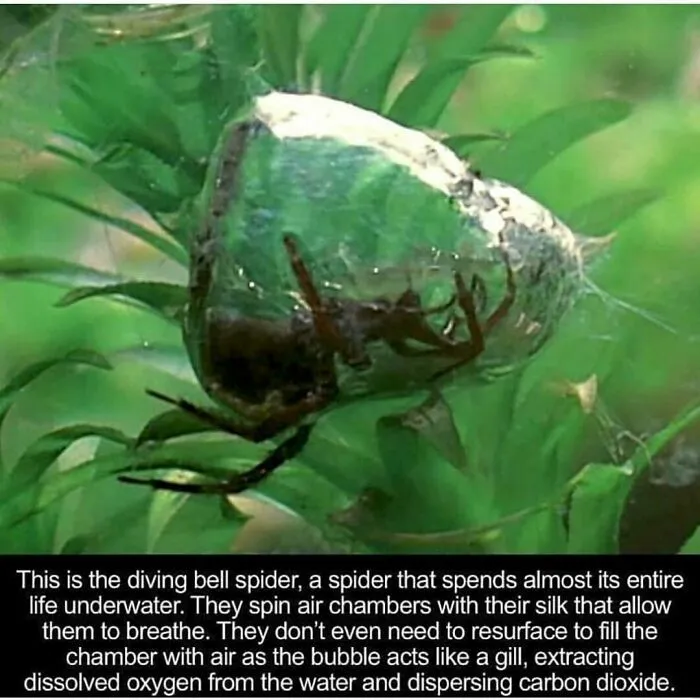 50 Posts That Can Be Described As None Other Than ‘Creepy’