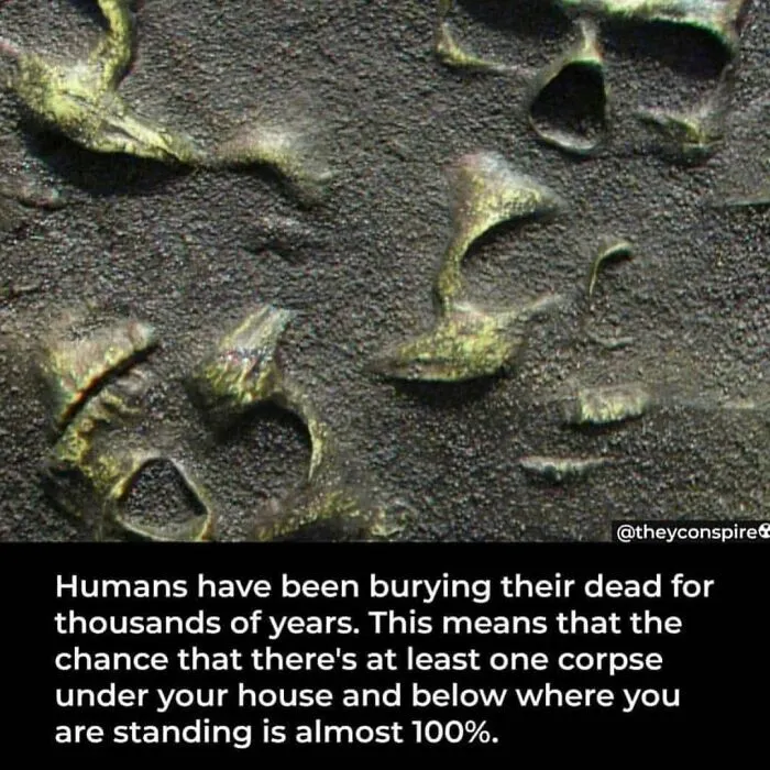 40 Horror Stories And Facts That Might Give You Goosebumps, As Shared On This IG Account