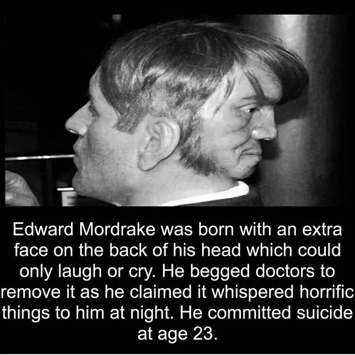 40 Horror Stories And Facts That Might Give You Goosebumps, As Shared On This IG Account