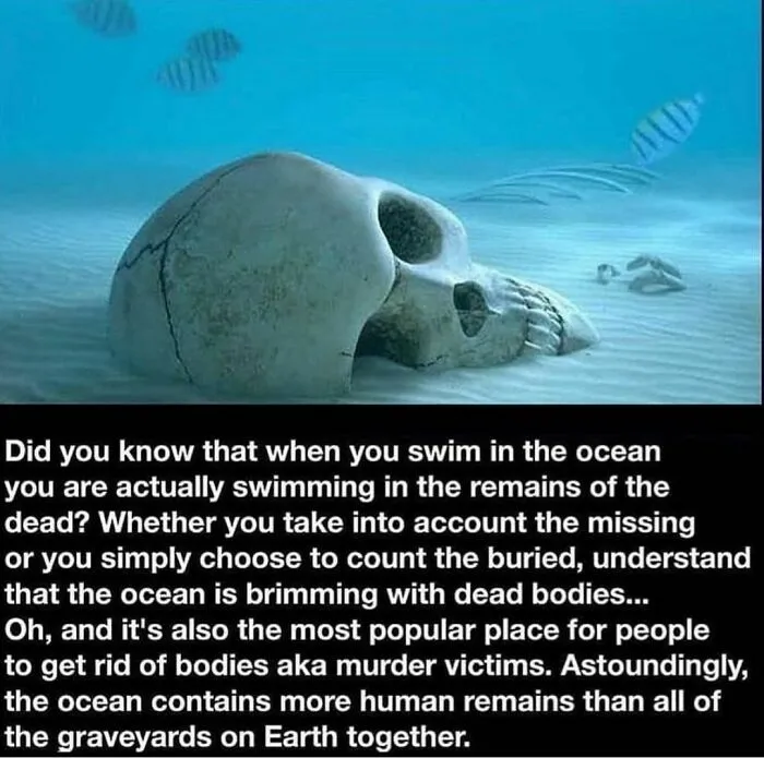 40 Horror Stories And Facts That Might Give You Goosebumps, As Shared On This IG Account