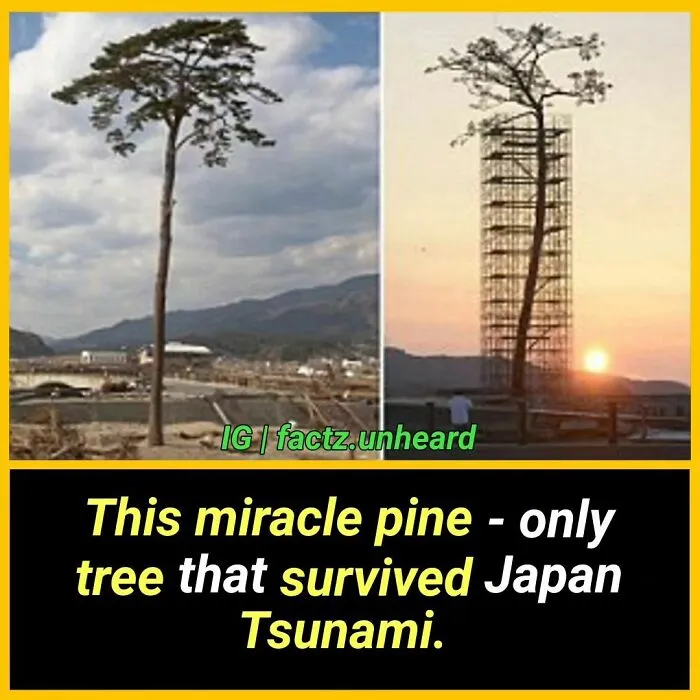 50 Random And Interesting Facts You Might Not Know About The World
