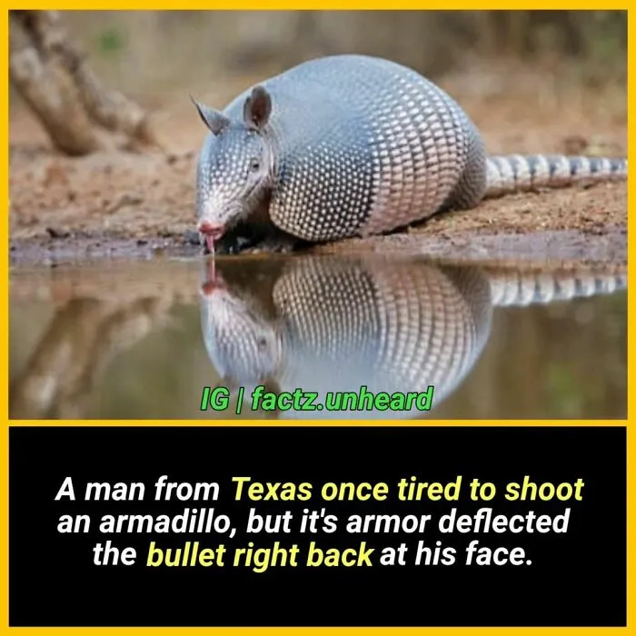 50 Random And Interesting Facts You Might Not Know About The World