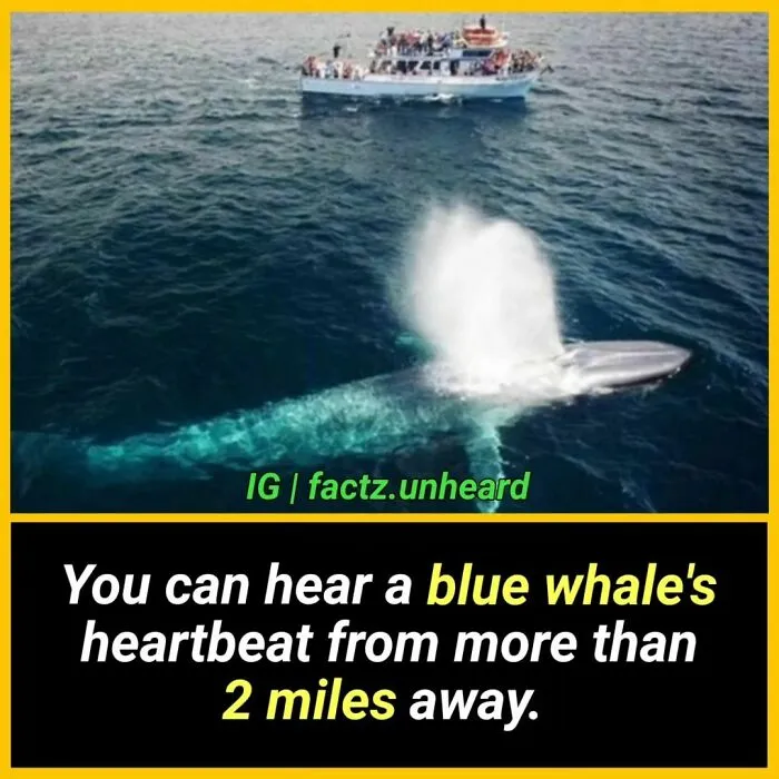 50 Random And Interesting Facts You Might Not Know About The World