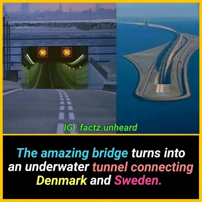 50 Random And Interesting Facts You Might Not Know About The World
