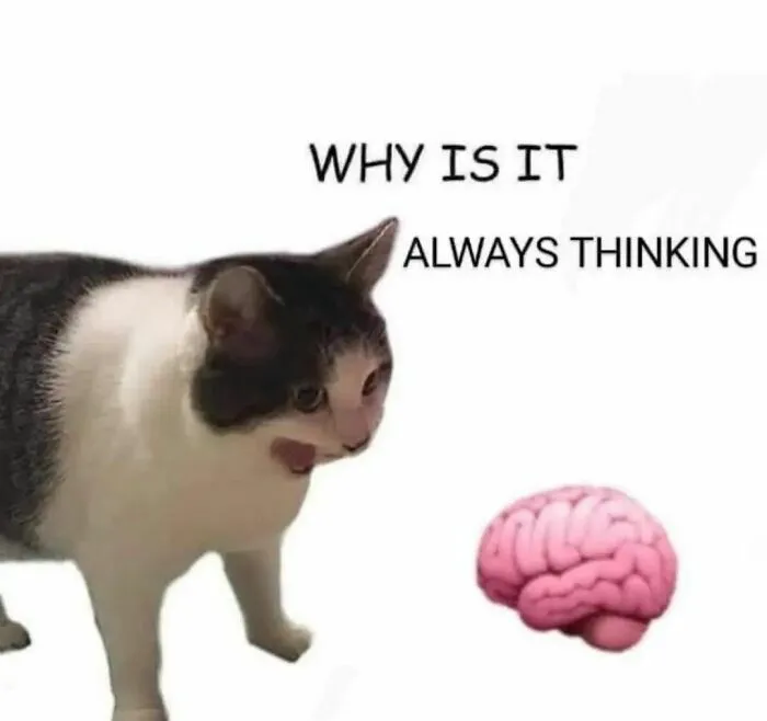 Intellectuals Are Cracking Up At These 50 Memes That Were Created Specially For Them