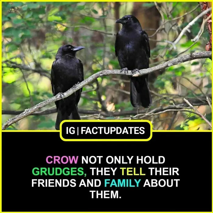 30 Random Facts That Are So Interesting You Might Want To Share Them