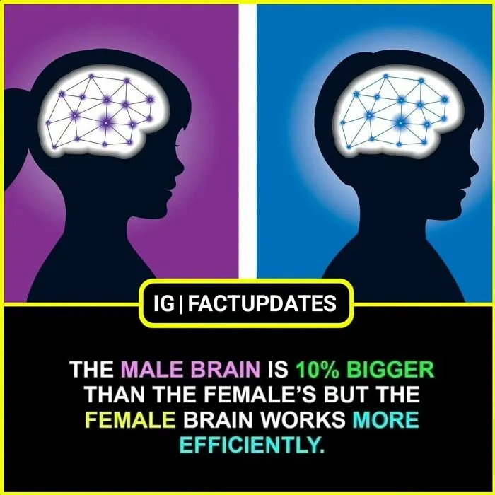 30 Random Facts That Are So Interesting You Might Want To Share Them