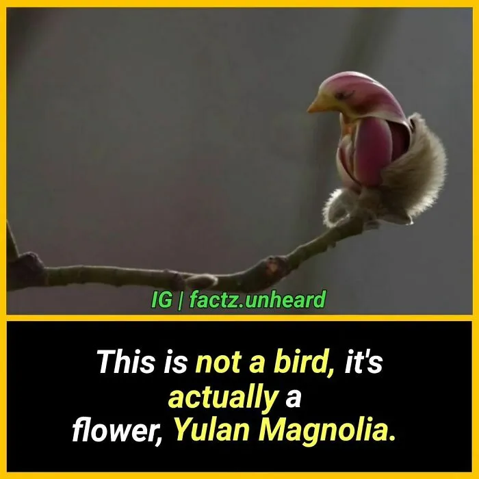 50 Random And Interesting Facts You Might Not Know About The World