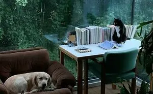 50 Delightfully Random Photos To Make Your Day A Little Brighter