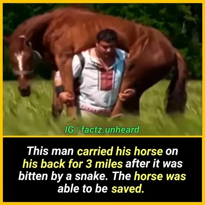 50 Random And Interesting Facts You Might Not Know About The World