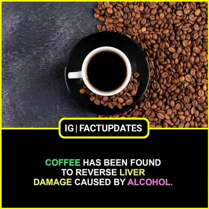 30 Random Facts That Are So Interesting You Might Want To Share Them