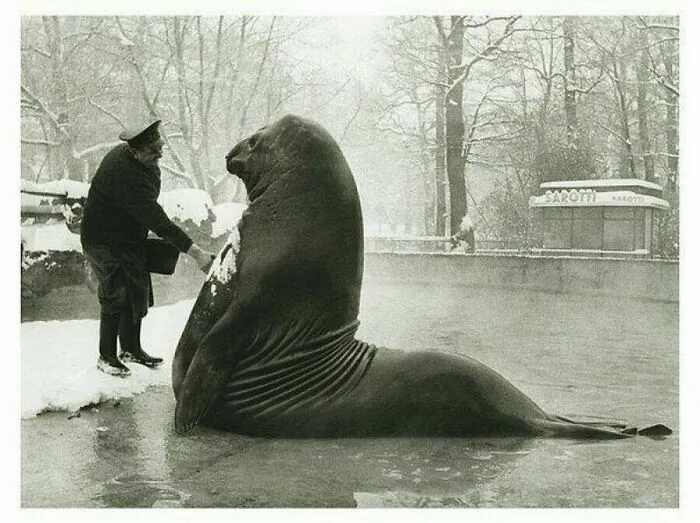 This Instagram Account Shares Historical Pics In Their Original Form, And These 40 Are Just Wow