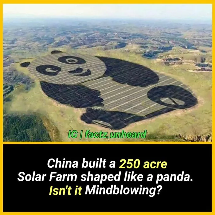 50 Random And Interesting Facts You Might Not Know About The World