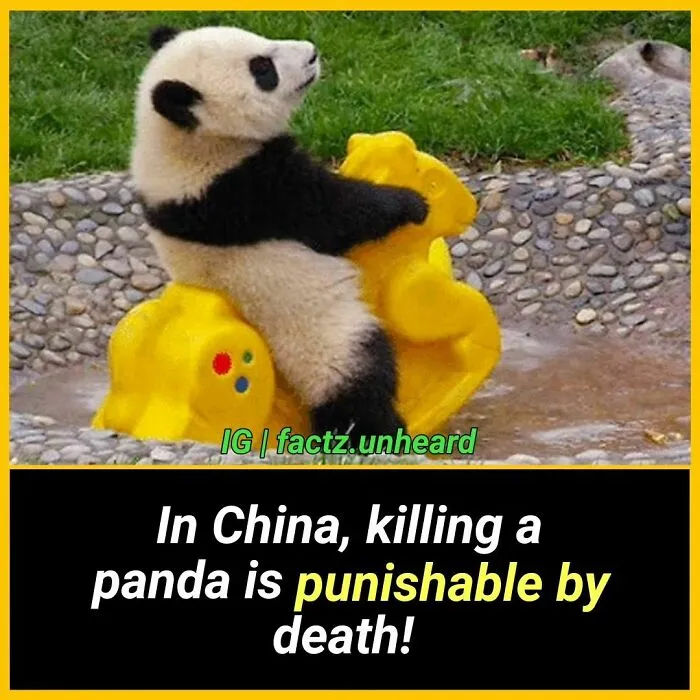 50 Random And Interesting Facts You Might Not Know About The World