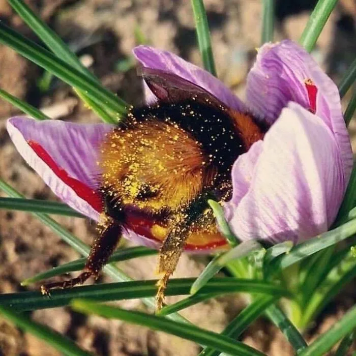 43 Fotos aleatorias que muestran la belleza del mundo