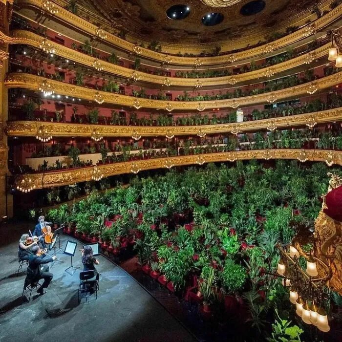 43 Fotos aleatorias que muestran la belleza del mundo