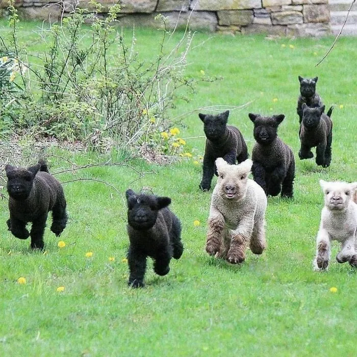 50 Delightfully Random Photos To Make Your Day A Little Brighter