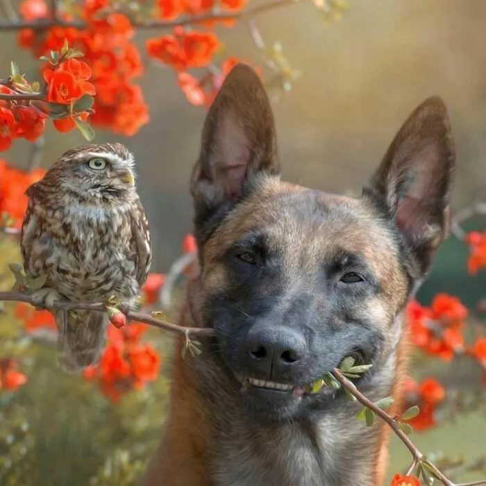 43 Fotos aleatorias que muestran la belleza del mundo