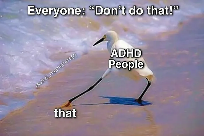 40 Relatable ADHD Memes For The Easily Distracted