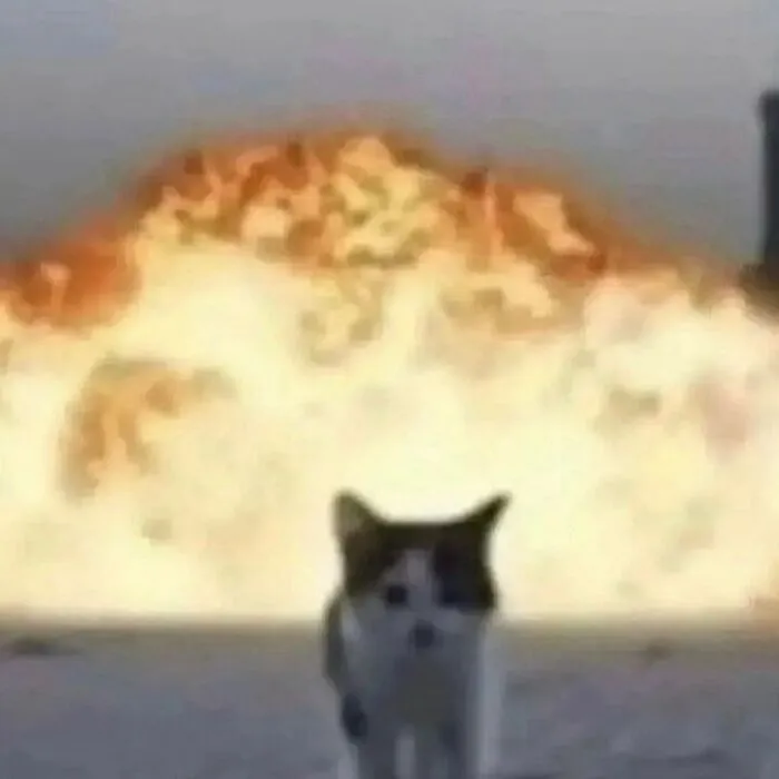 35 Hilariously Random Cat Pics To Make Your Day At Least 68.9% Better