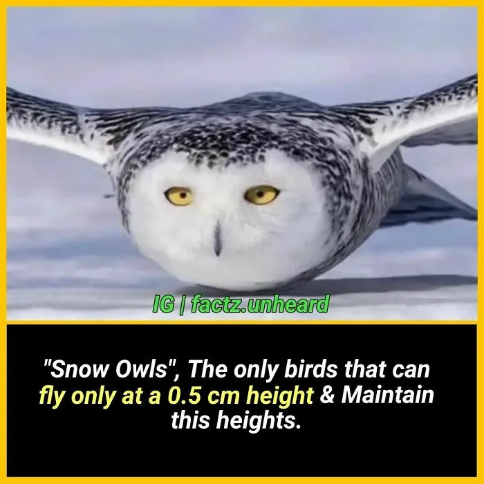 50 Random And Interesting Facts You Might Not Know About The World