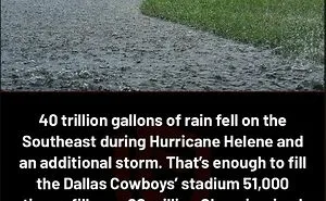 50 ‘Unbelievable Facts’ To Make You The Most Interesting Person In The Room