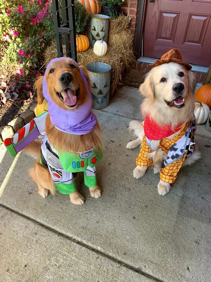Look, We're Toys!