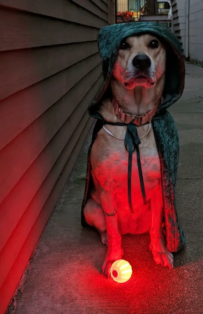 I've Come For Your Soul. Accept Your Fate