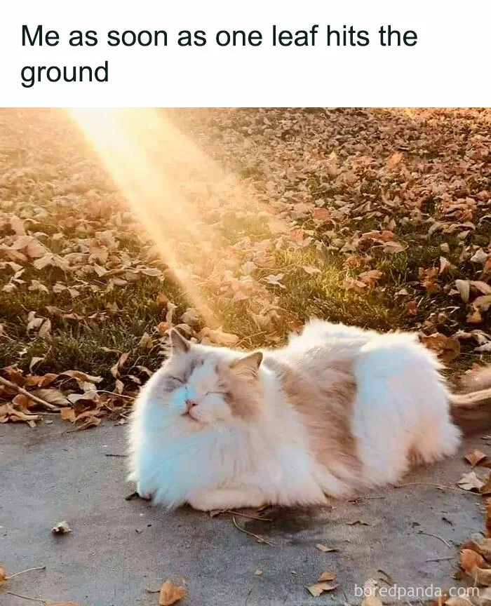 Soaking Up Those Last Rays