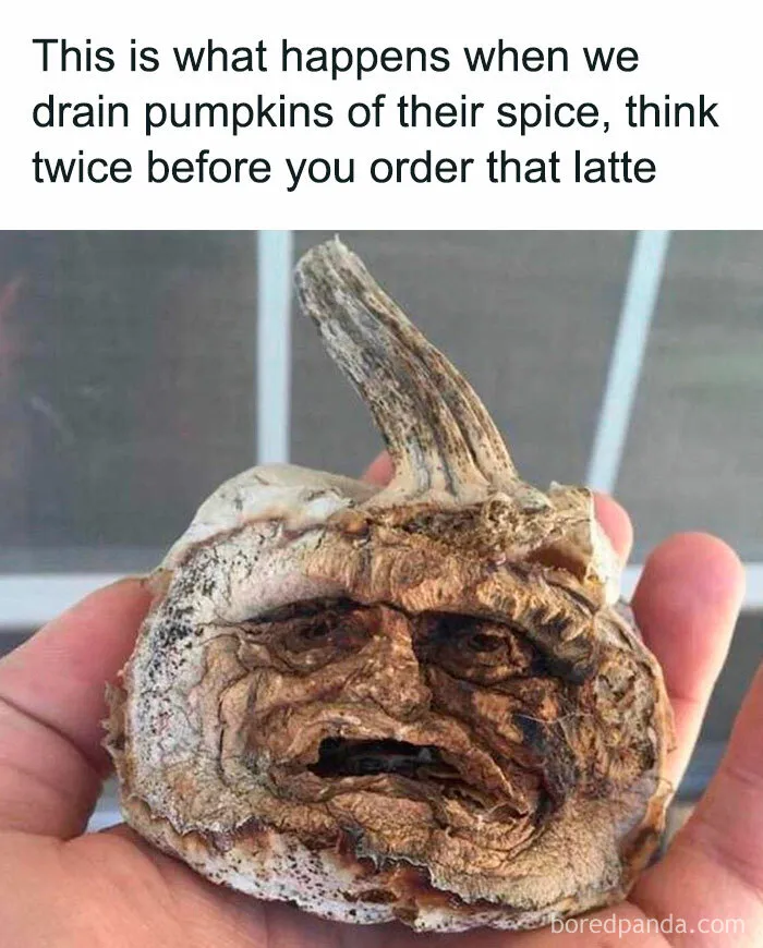 “When We Drain Pumpkins of Their Spice”