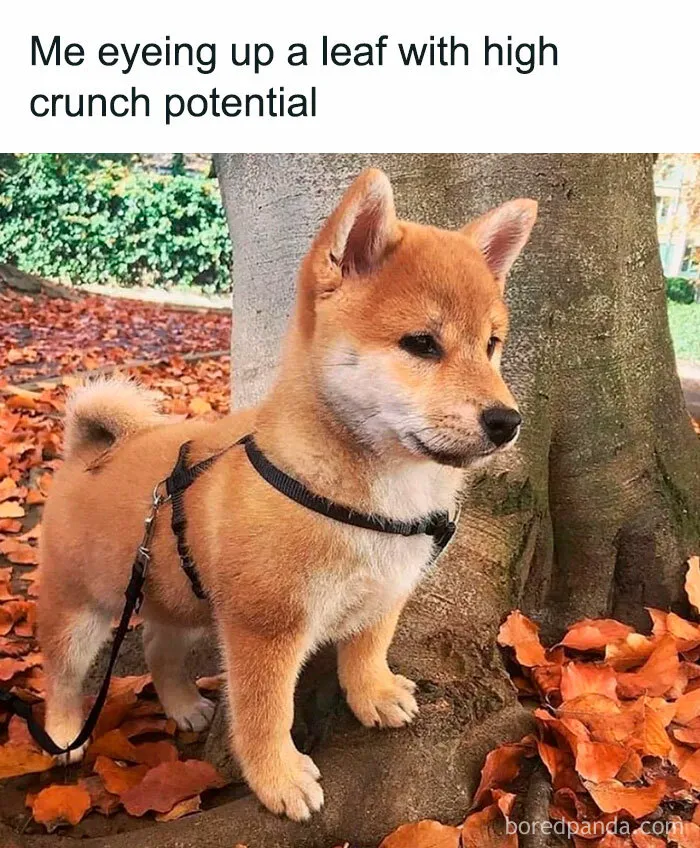 “Crunch Potential”