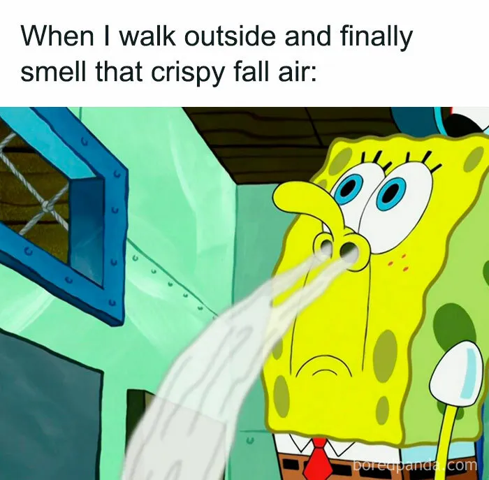 “Smelling the Crispy Fall Air”