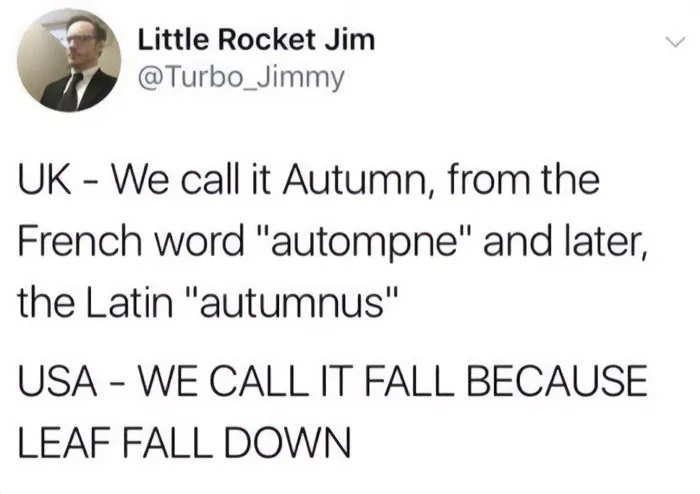 Fall Meme “In The USA, We Call It Fall...”