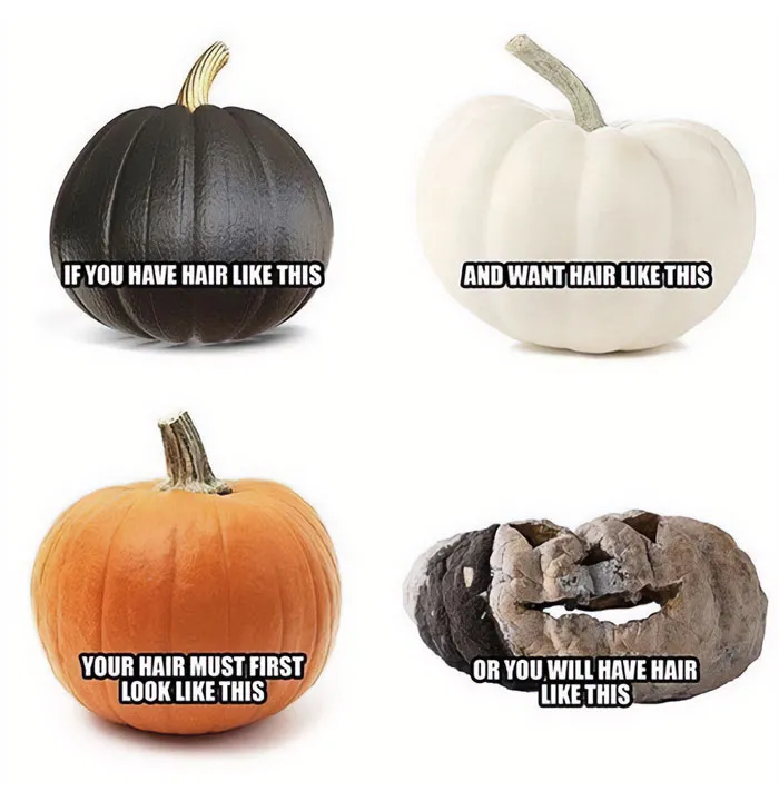 Fall meme with four pumpkins humorously illustrating the hair bleaching process from black to white.