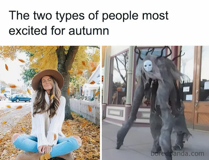 Two Types of Fall Fans
