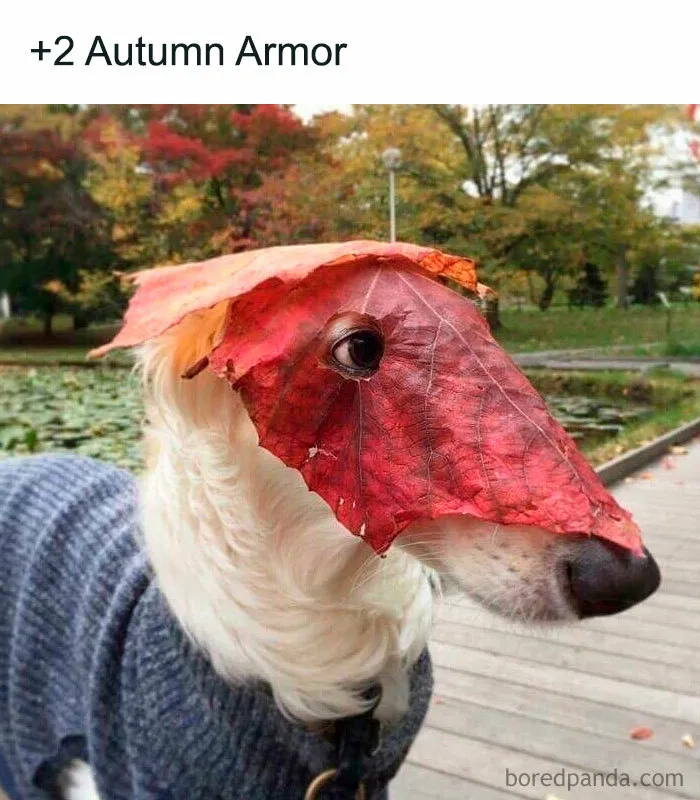 “Autumn Armor”