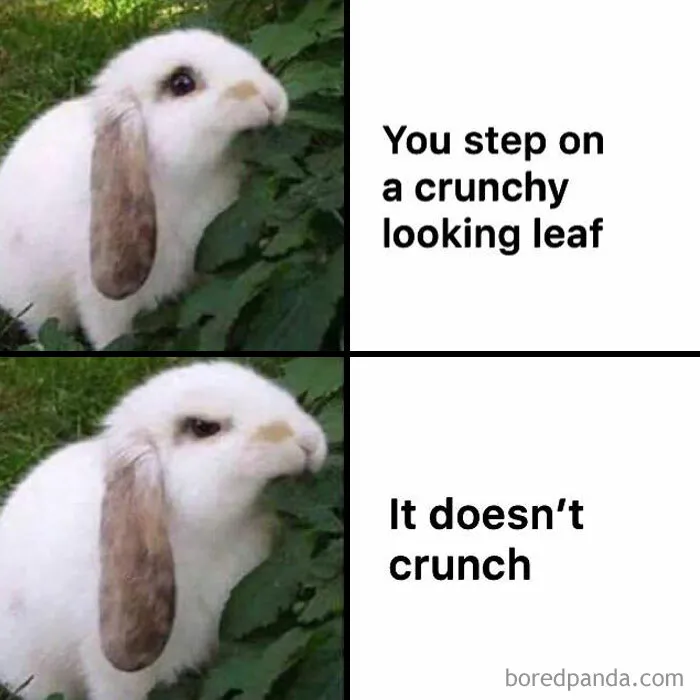 “When the Leaf Doesn’t Crunch”