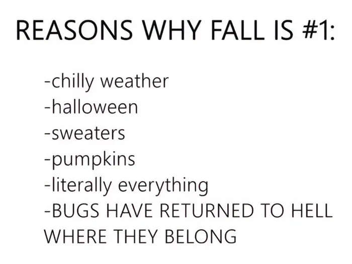 “Why Fall is #1”