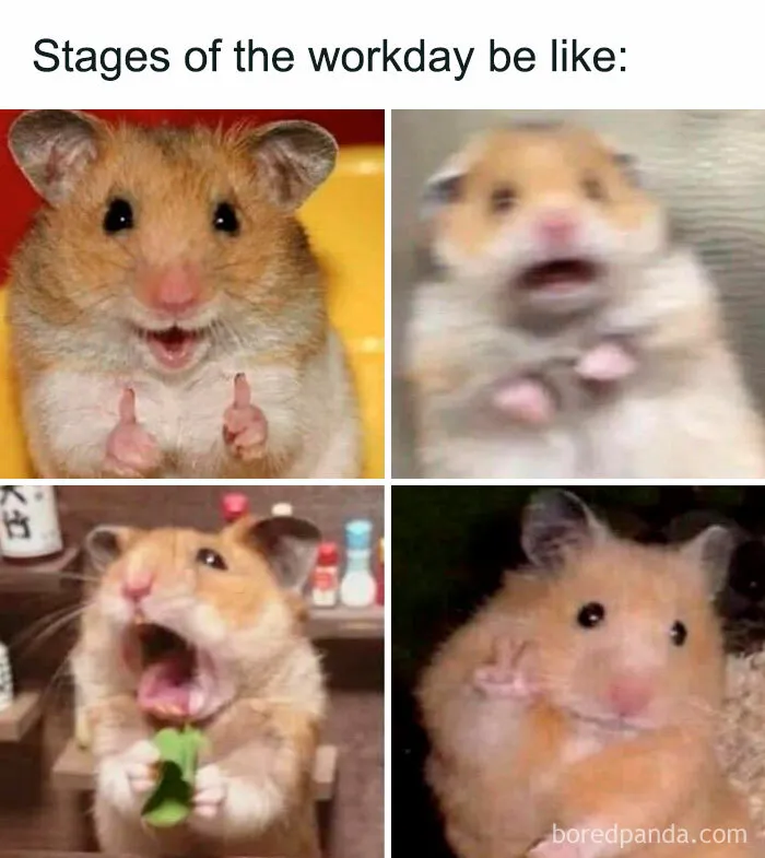 Hamster at Work