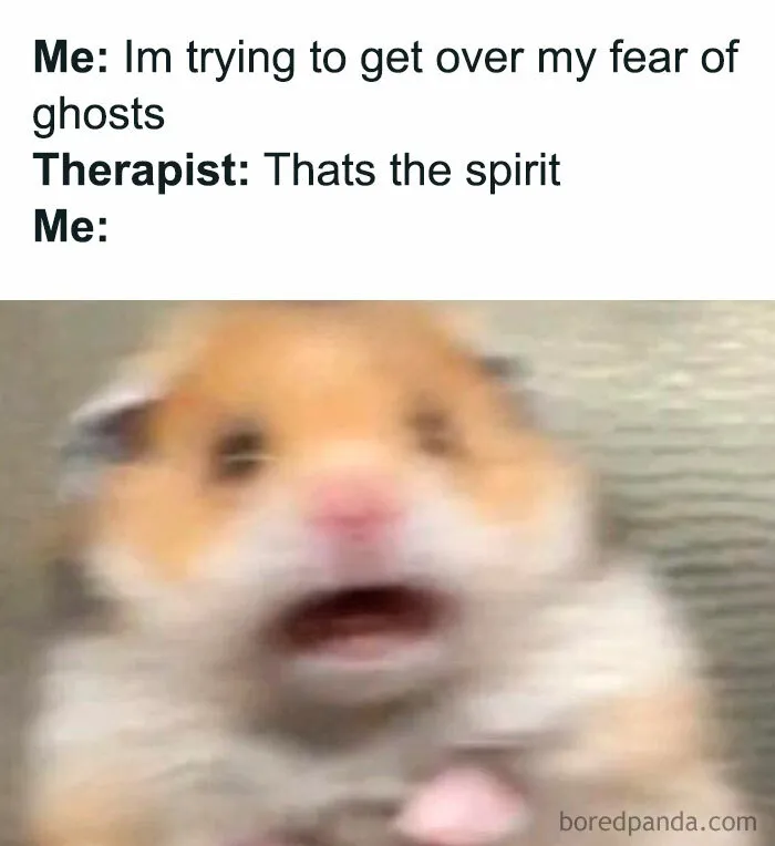 Scared Hamster Meme