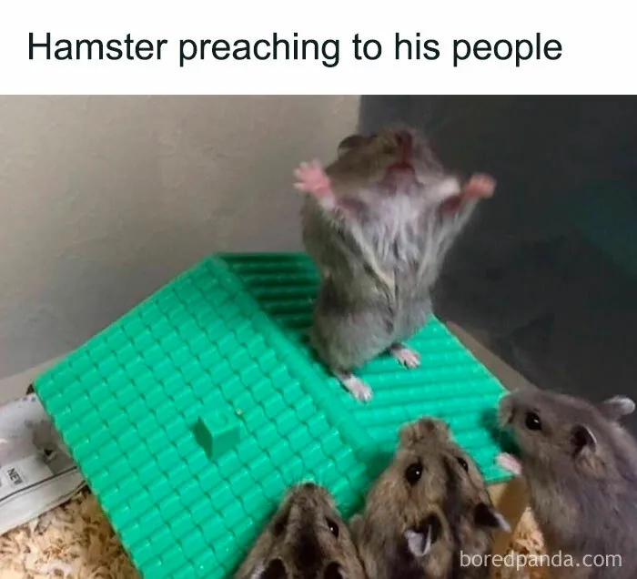 The Preacher