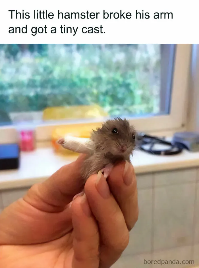 A Tiny Cast